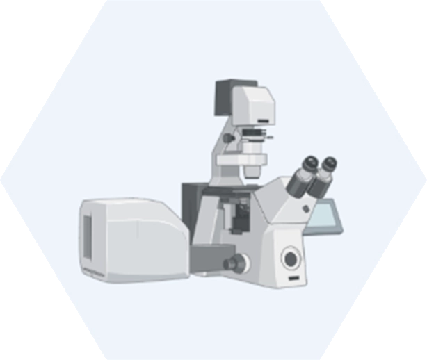 Microscopy imaging